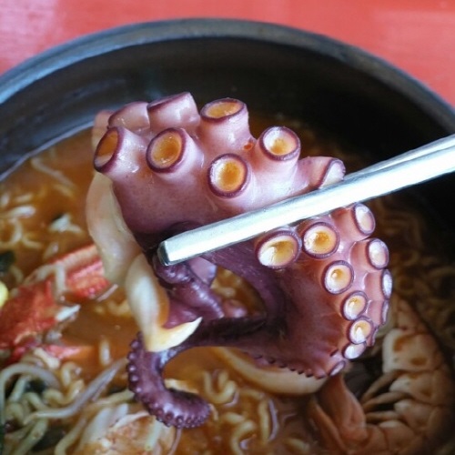 문개항아리 - 제주 제주시 조천읍 지역맛집