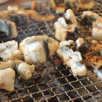 Àå¾î±¸ÀÌ »ó¼¼