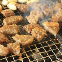 ½ºÅ×ÀÌÅ© °¥ºñ »ó¼¼