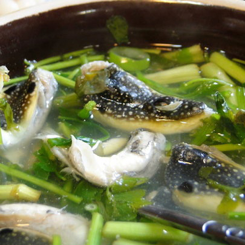 복어촌 - 경남 거제시 고현동 지역맛집