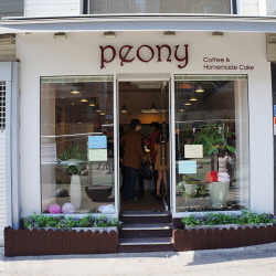 ÇÇ¿À´Ï(peony)