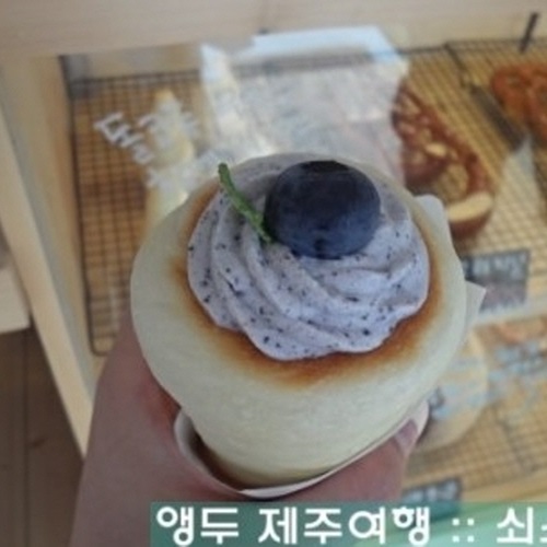 또또시 이미지