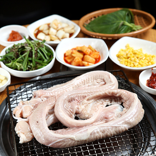 자갈치꼼장어 - 서울 종로구 효제동 지역맛집