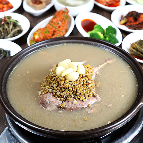 만항할매닭집 - 강원 정선군 고한읍 지역맛집